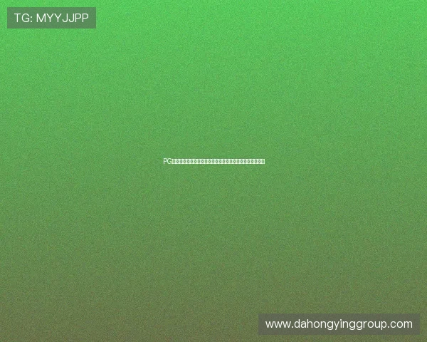 PG导航助力用户快速找到最新世界杯赛事信息与精彩比赛回放